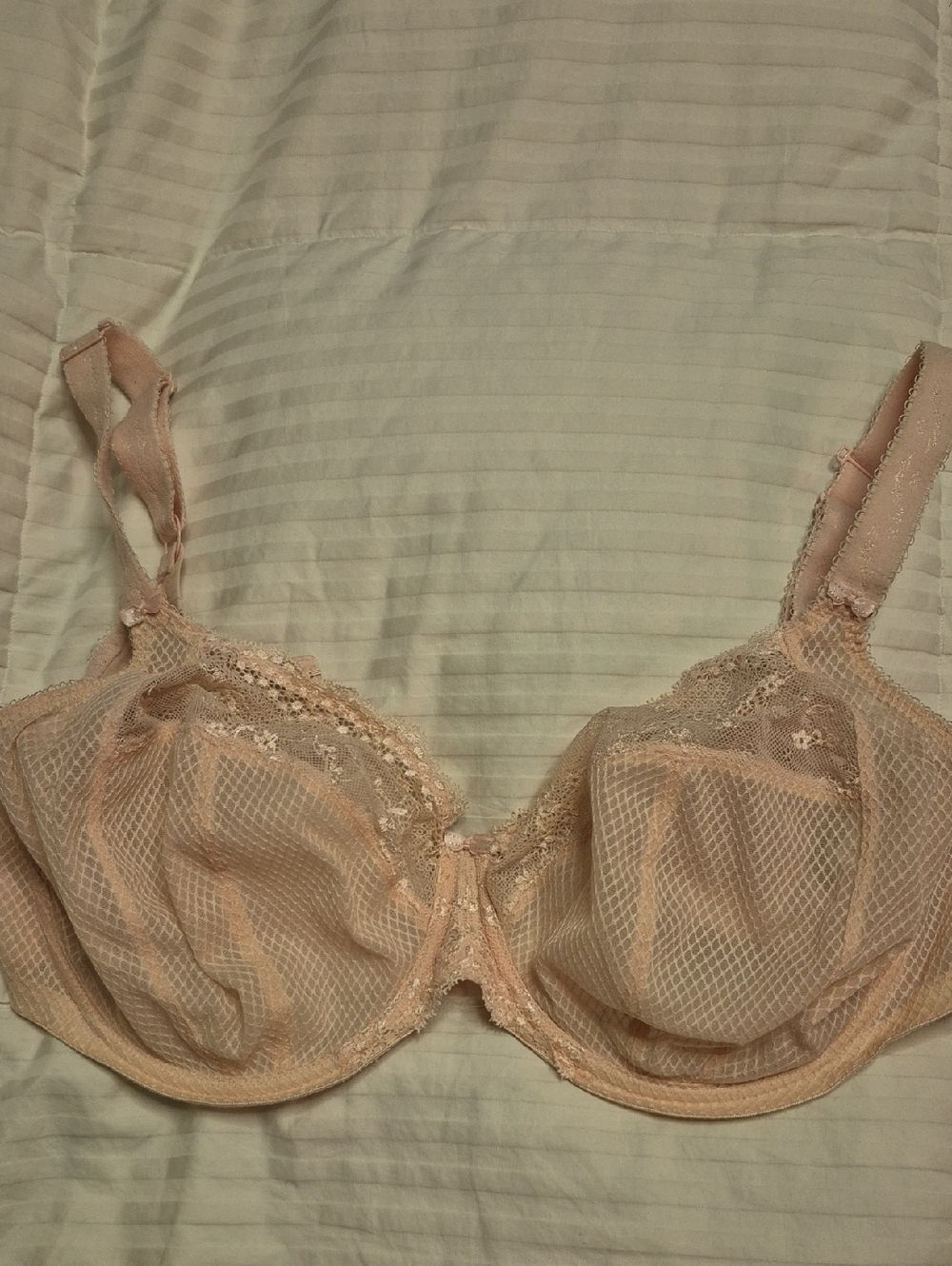 Sheer Lace Underwire Bra - Blush Pink